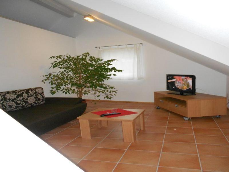 Apartment Schwendemann Lahr  Δωμάτιο φωτογραφία