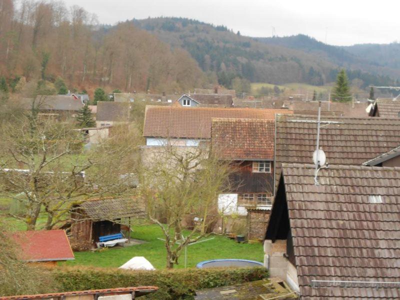 Apartment Schwendemann Lahr  Εξωτερικό φωτογραφία